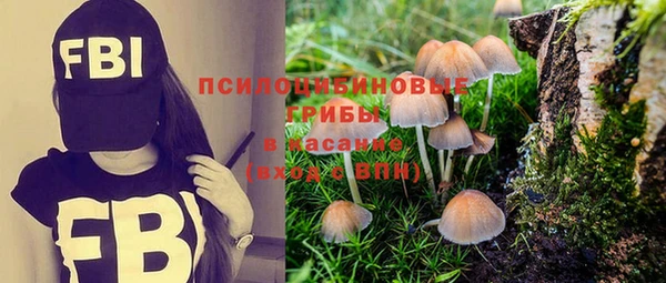 прущая мука Пестово