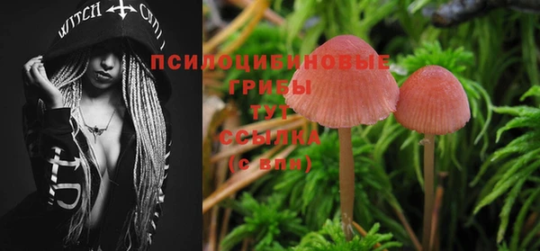 MDMA Волоколамск
